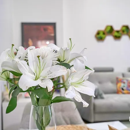 Apartment Ravissant 2 Pieces Cosy - Proche Montmartre - 41c *